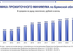 Установление прожиточного минимума