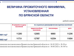 Установление прожиточного минимума