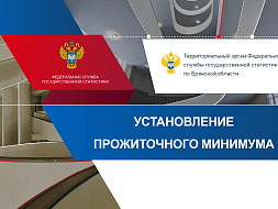 Установление прожиточного минимума